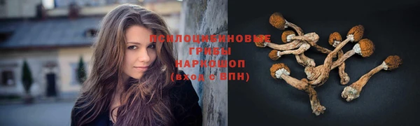стафф Калач