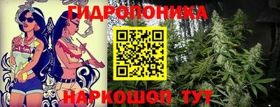 мяу мяу мука Кимры