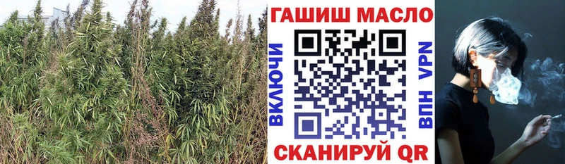 сайты даркнета какой сайт  Нерюнгри  Дистиллят ТГК THC oil 