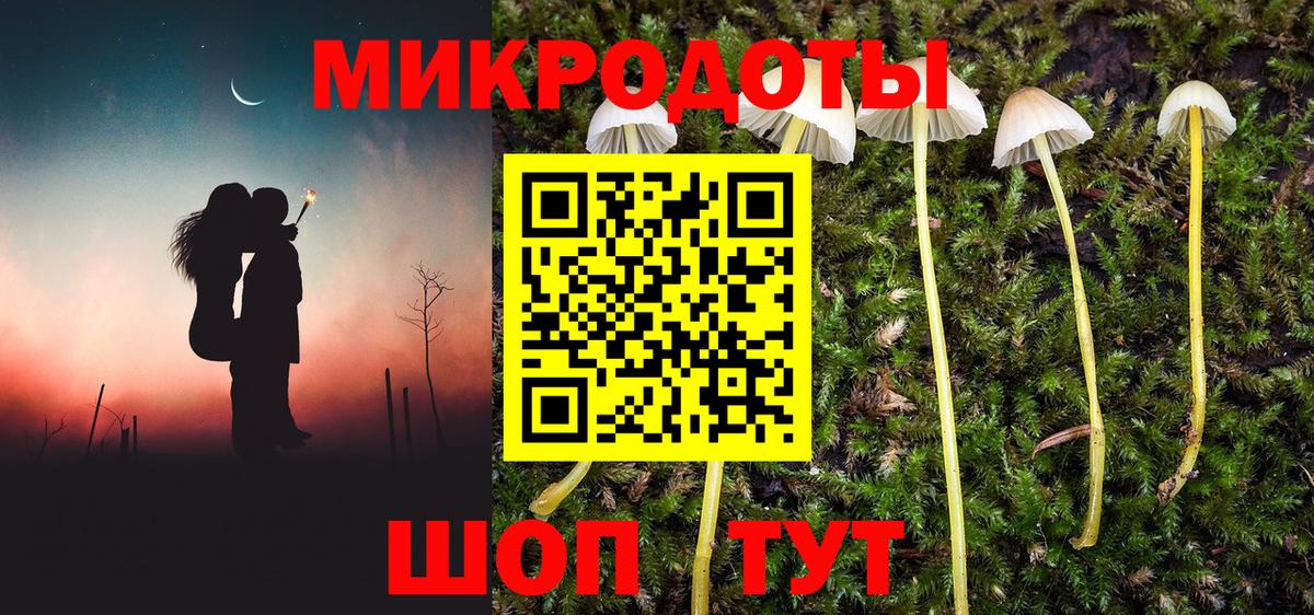 Псилоцибиновые грибы прущие грибы  Псилоцибиновые грибы Psilocybine cubensis  Нерюнгри  цены наркотик  Вход с VPN 