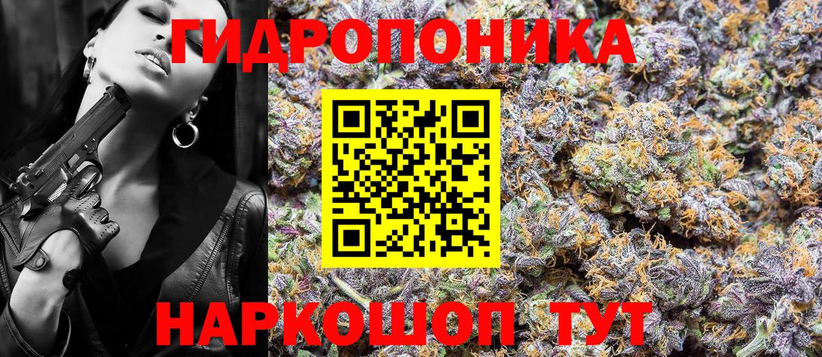 Альфа ПВП Нерюнгри